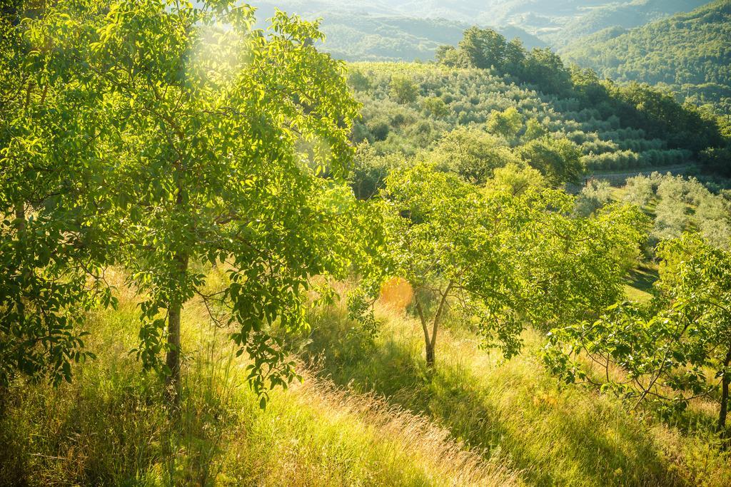 Podere Poggio Mendico Bauernhof