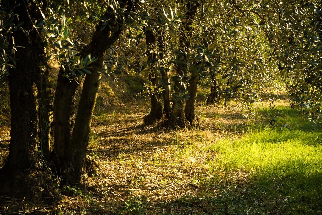 Podere Poggio Mendico
