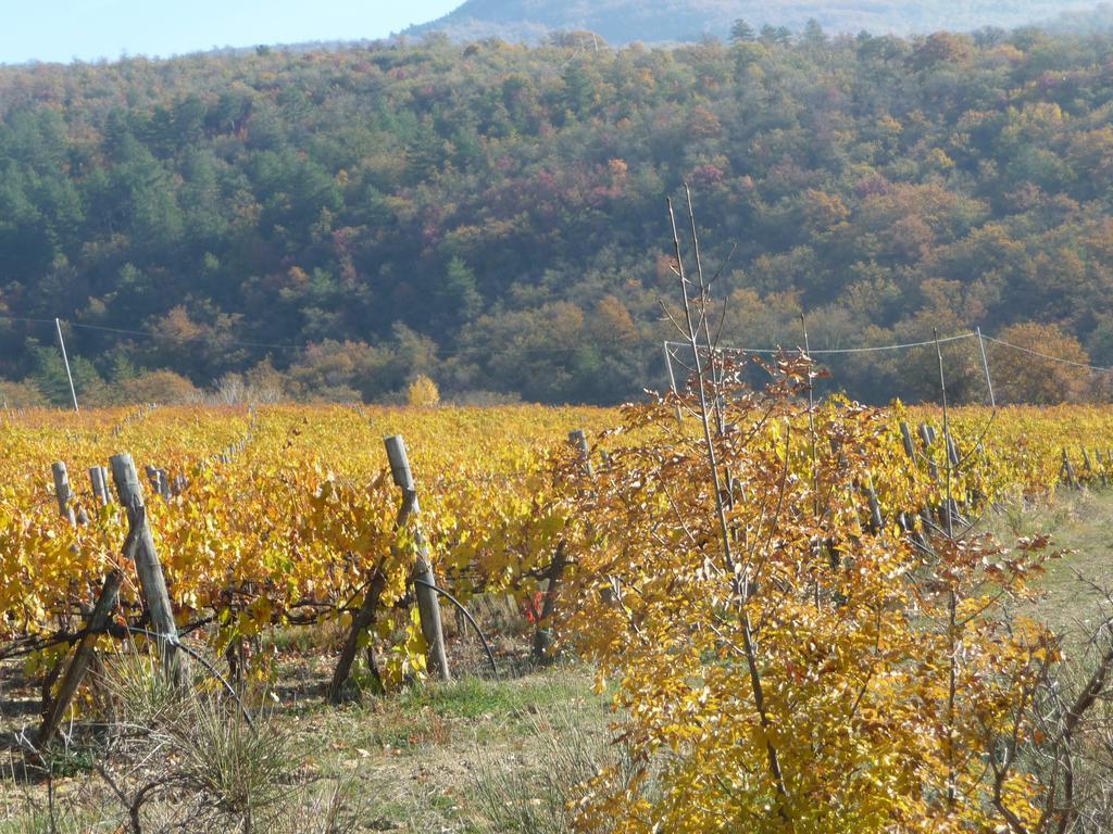 Podere Poggio Mendico Arezzo
